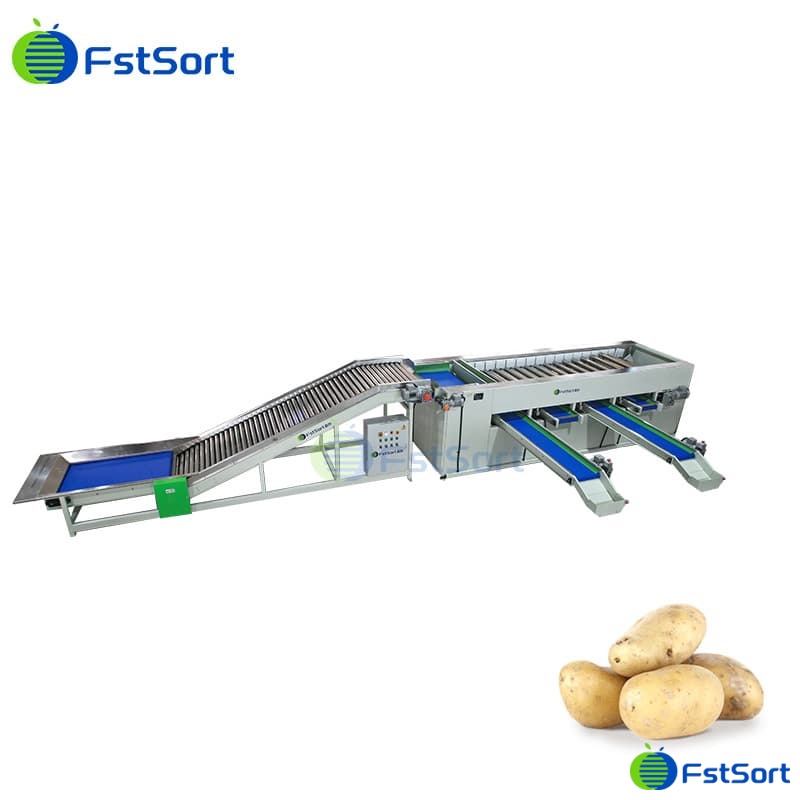 images/1772073424901potato grader.jpg